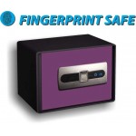 FingerPrint Safe